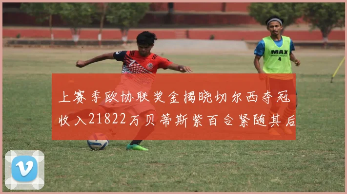 上赛季欧协联奖金揭晓切尔西夺冠收入21822万贝蒂斯紫百合紧随其后