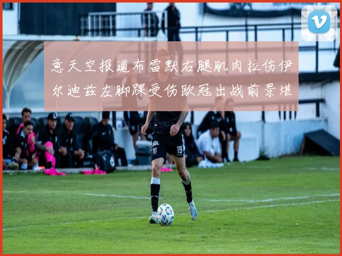 意天空报道布雷默右腿肌肉拉伤伊尔迪兹左脚踝受伤欧冠出战前景堪忧