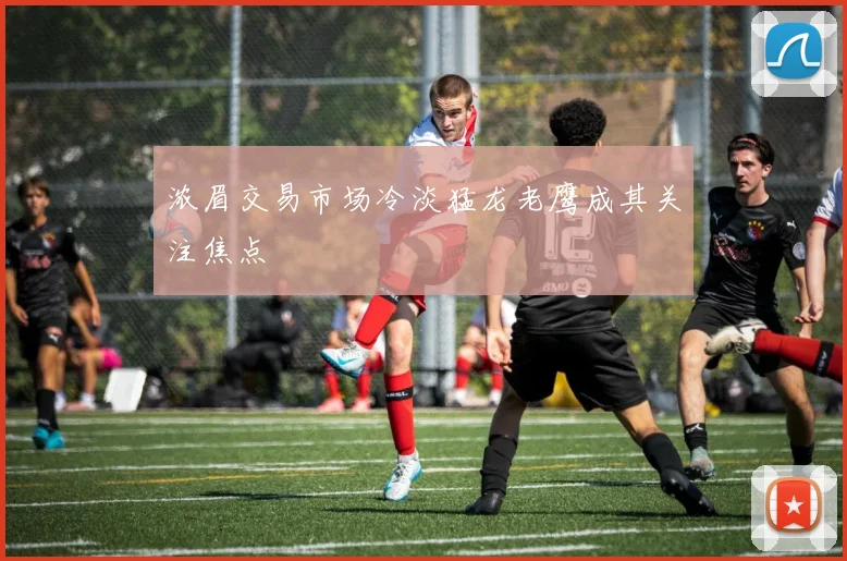 浓眉交易市场冷淡猛龙老鹰成其关注焦点